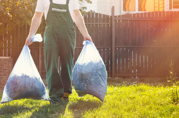 Best Dumpster Rental Services in Maywood, NJ